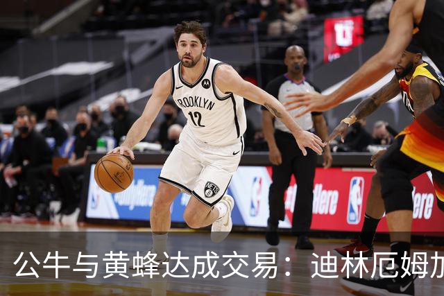 公牛与黄蜂达成交易：迪林厄姆加盟，希尔德和现金回归