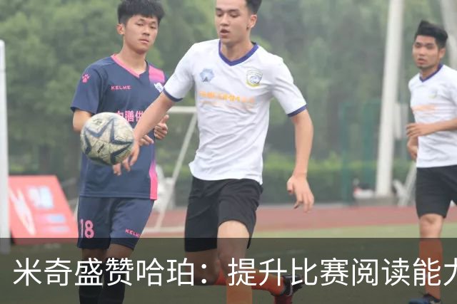 米奇盛赞哈珀：提升比赛阅读能力将助他更进一步